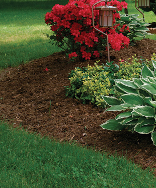 Landscaping with Mulch